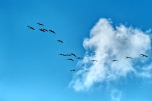 Top 10 Azure Security Best Practices Every Business Must Know